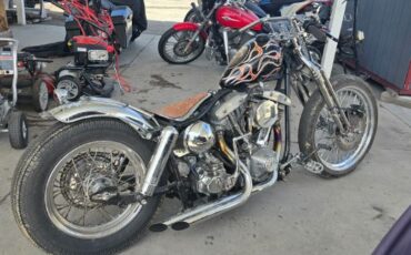 Harley-davidson-Flh-electra-glide-1972-21