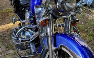 Harley-davidson-flstf-fatboy-1994-15