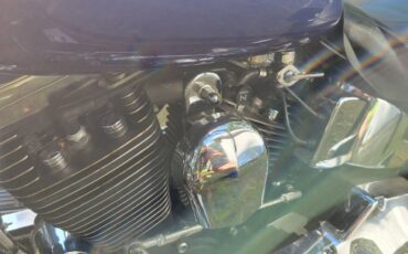 Harley-davidson-flstf-fatboy-1994-6