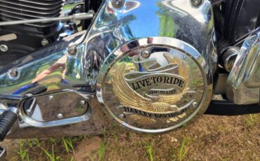 Harley-davidson-flstf-fatboy-1994-7