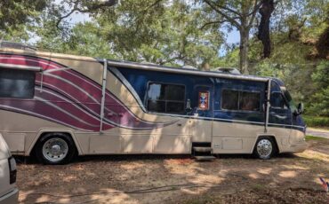 Holiday-rambler-diesel-1989-custom-1
