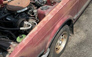Honda-accord-1982-red-5