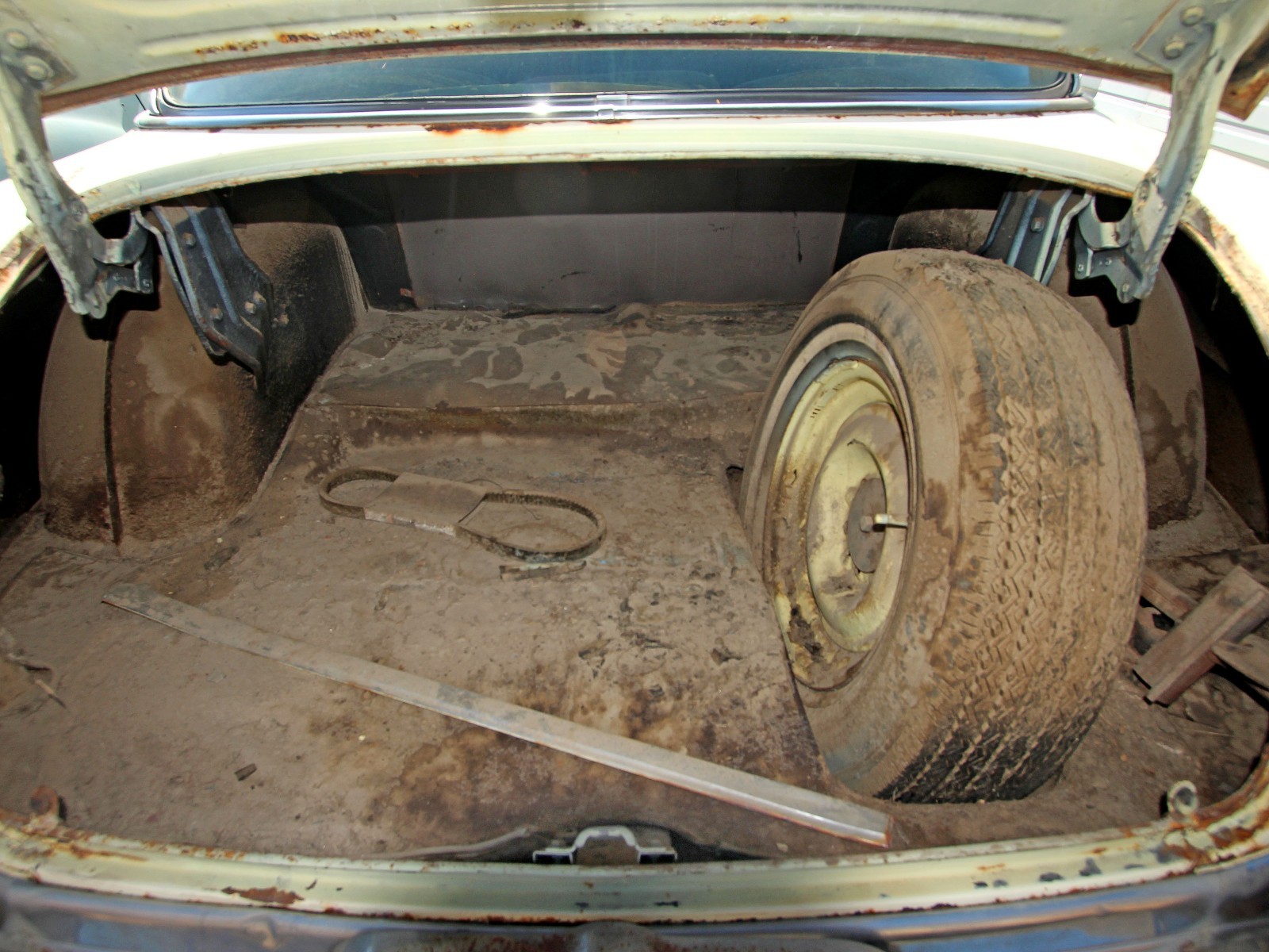 Hudson-Hornet-1954-14