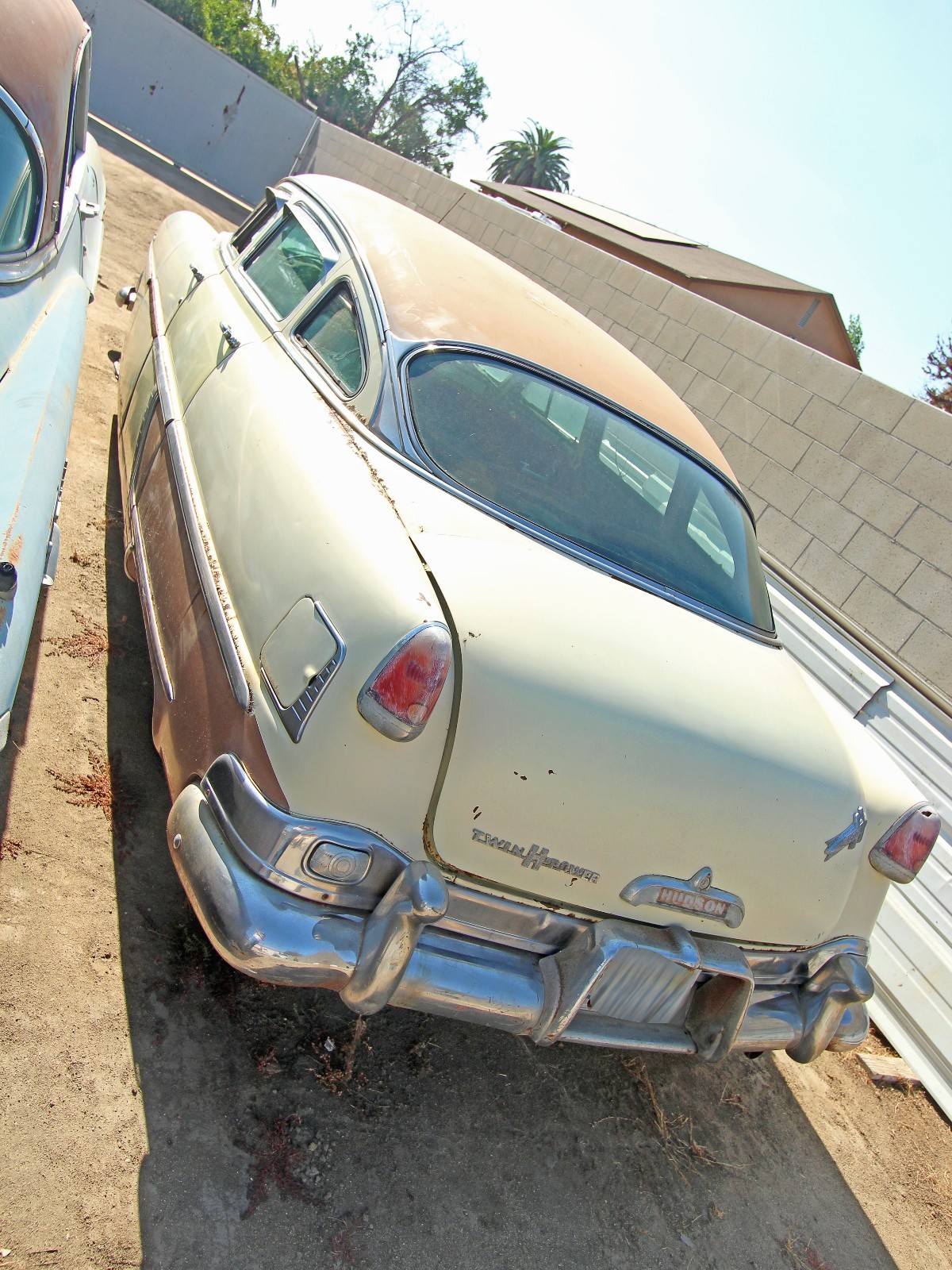 Hudson-Hornet-1954-8