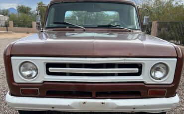 International-1100d-1969-brown-7