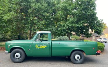 International-1210-camper-special-1973-green