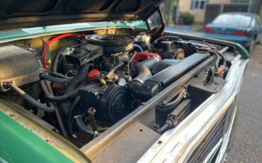 International-1210-camper-special-1973-green-8