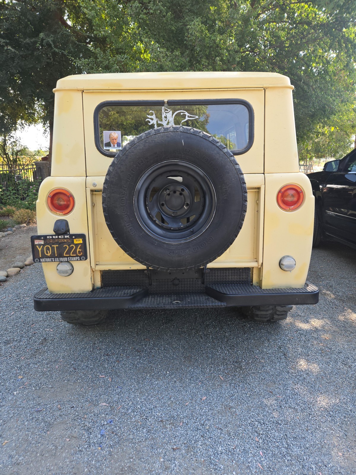 International-Harvester-Scout-1969-SUV-3