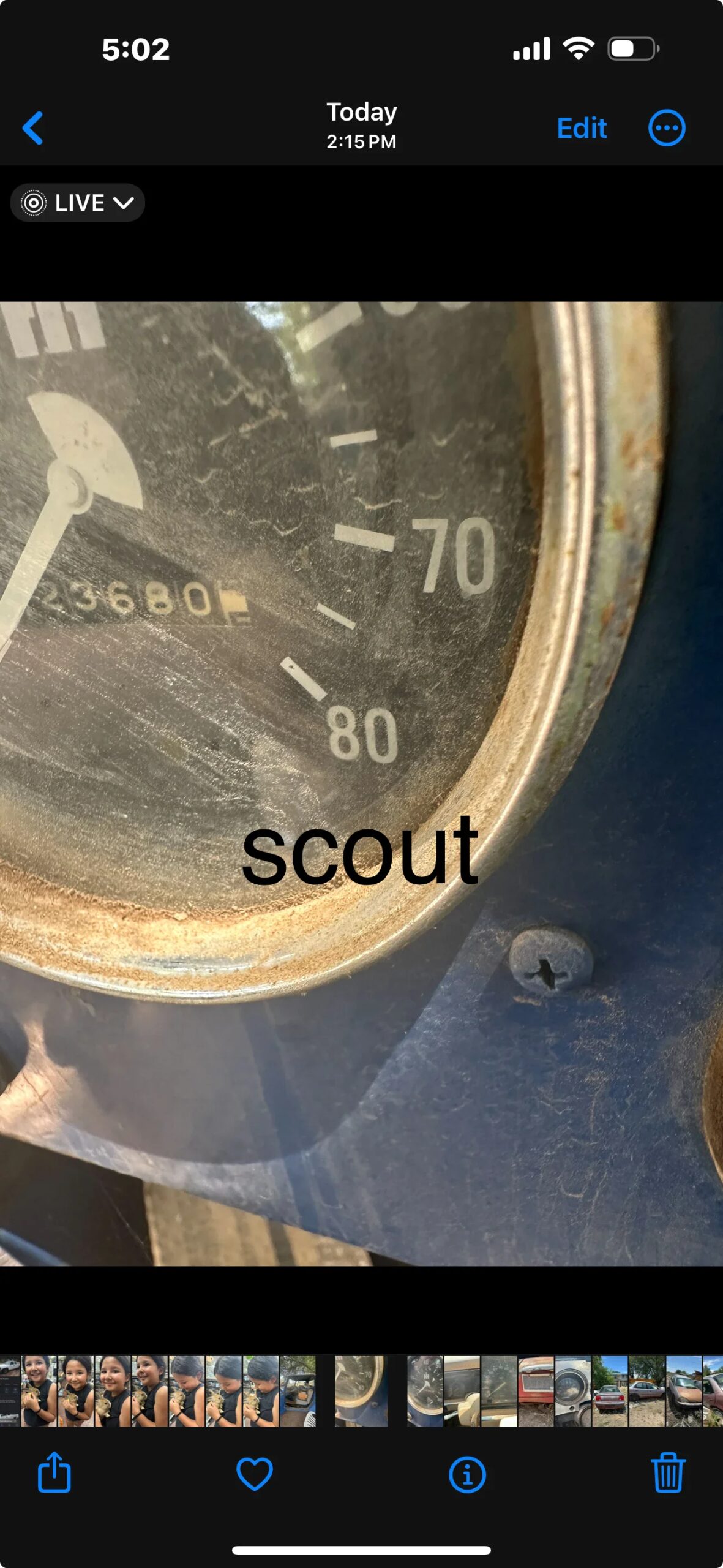 International-Harvester-scout-1964-Blue-7
