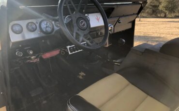 International-Harvester-scout-1979-Custom-Custom-13