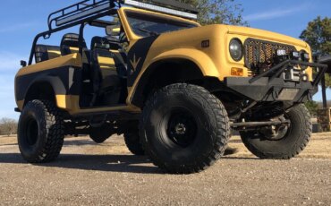 International-Harvester-scout-1979-Custom-Custom-14