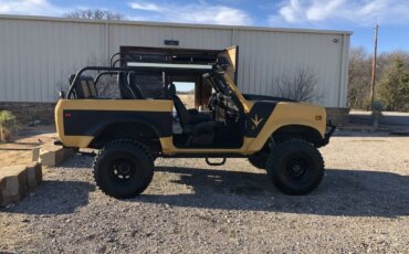 International-Harvester-scout-1979-Custom-Custom-16