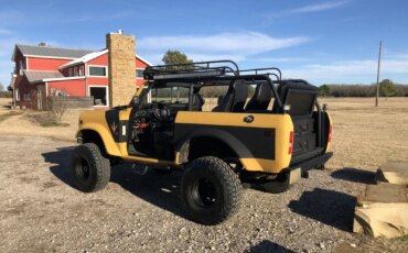 International-Harvester-scout-1979-Custom-Custom-2