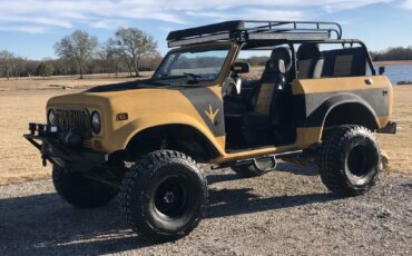 International-Harvester-scout-1979-Custom-Custom-8