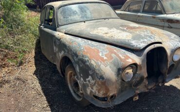 Jaguar-1965-8