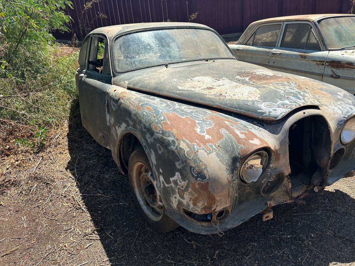 Jaguar-1965-8