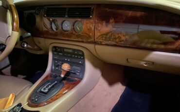 Jaguar-1982-4