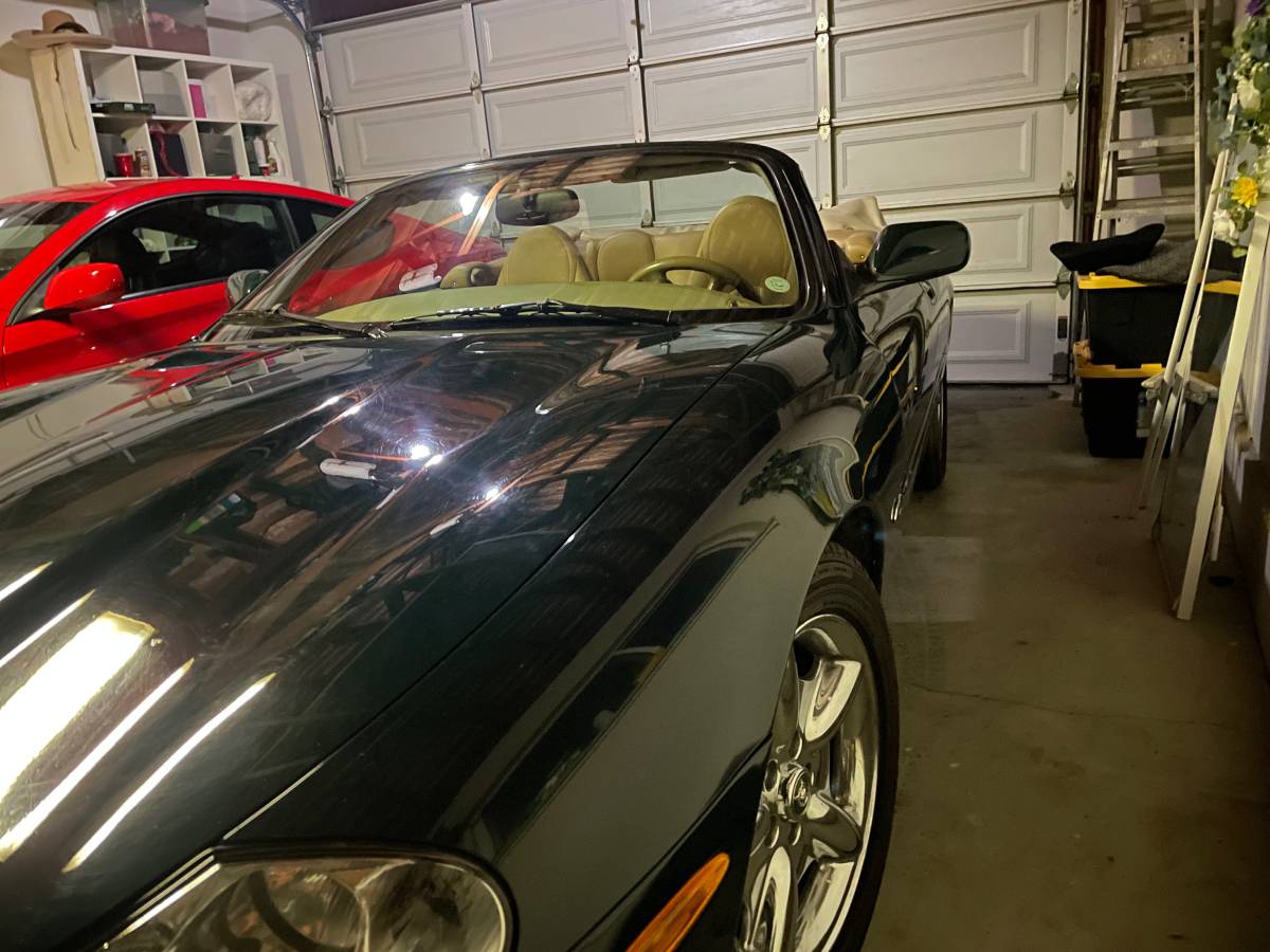 Jaguar-1982-5