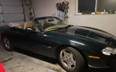 Jaguar-1982-6