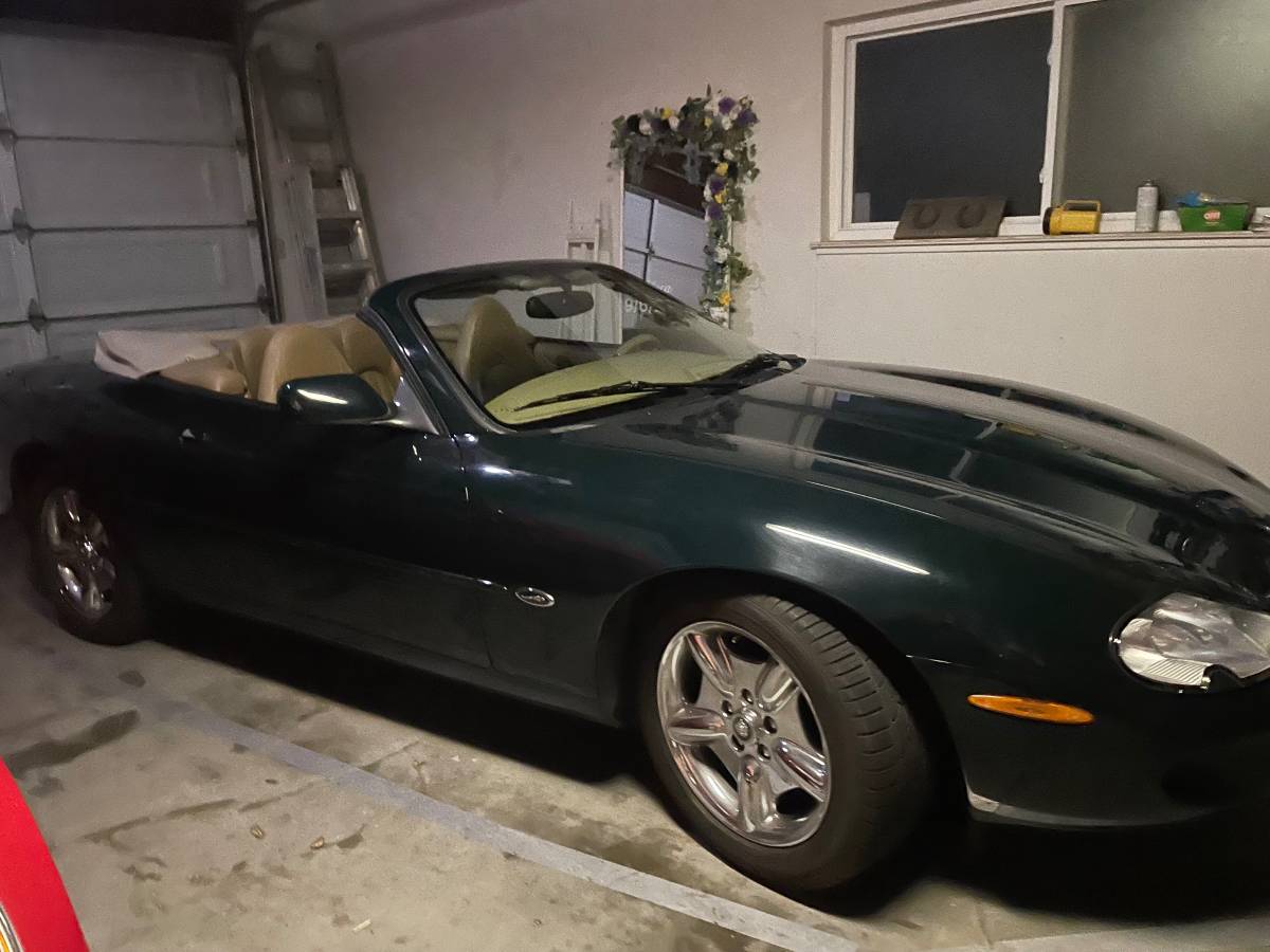 Jaguar-1982-6