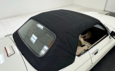 Jaguar-Other-1991-Glacier-White-Doeskin-22