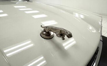 Jaguar-Other-1991-Glacier-White-Doeskin-24