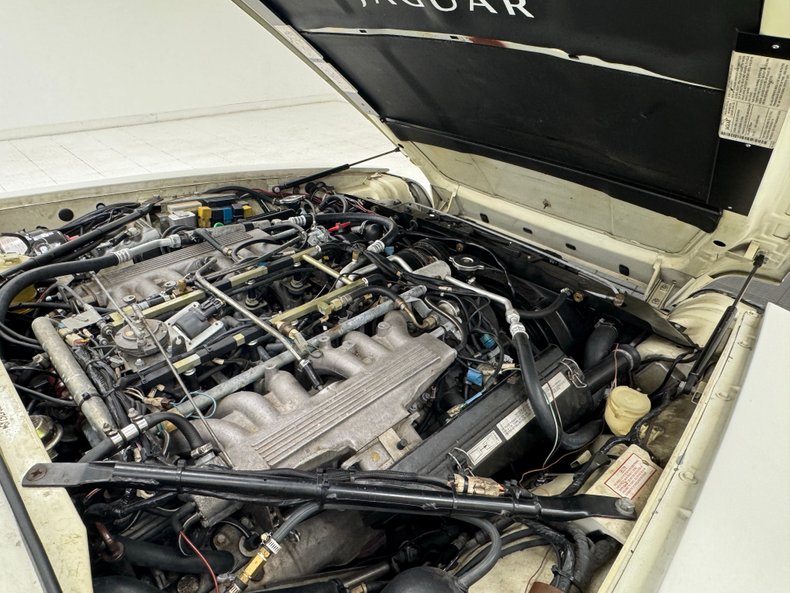Jaguar-Other-1991-Glacier-White-Doeskin-34