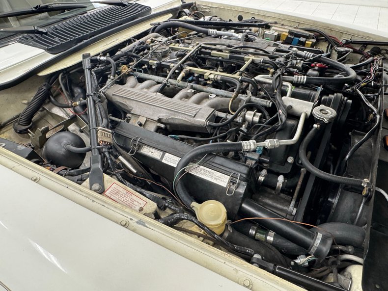 Jaguar-Other-1991-Glacier-White-Doeskin-35