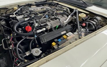 Jaguar-Other-1991-Glacier-White-Doeskin-36