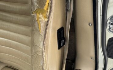 Jaguar-Other-1991-Glacier-White-Doeskin-45
