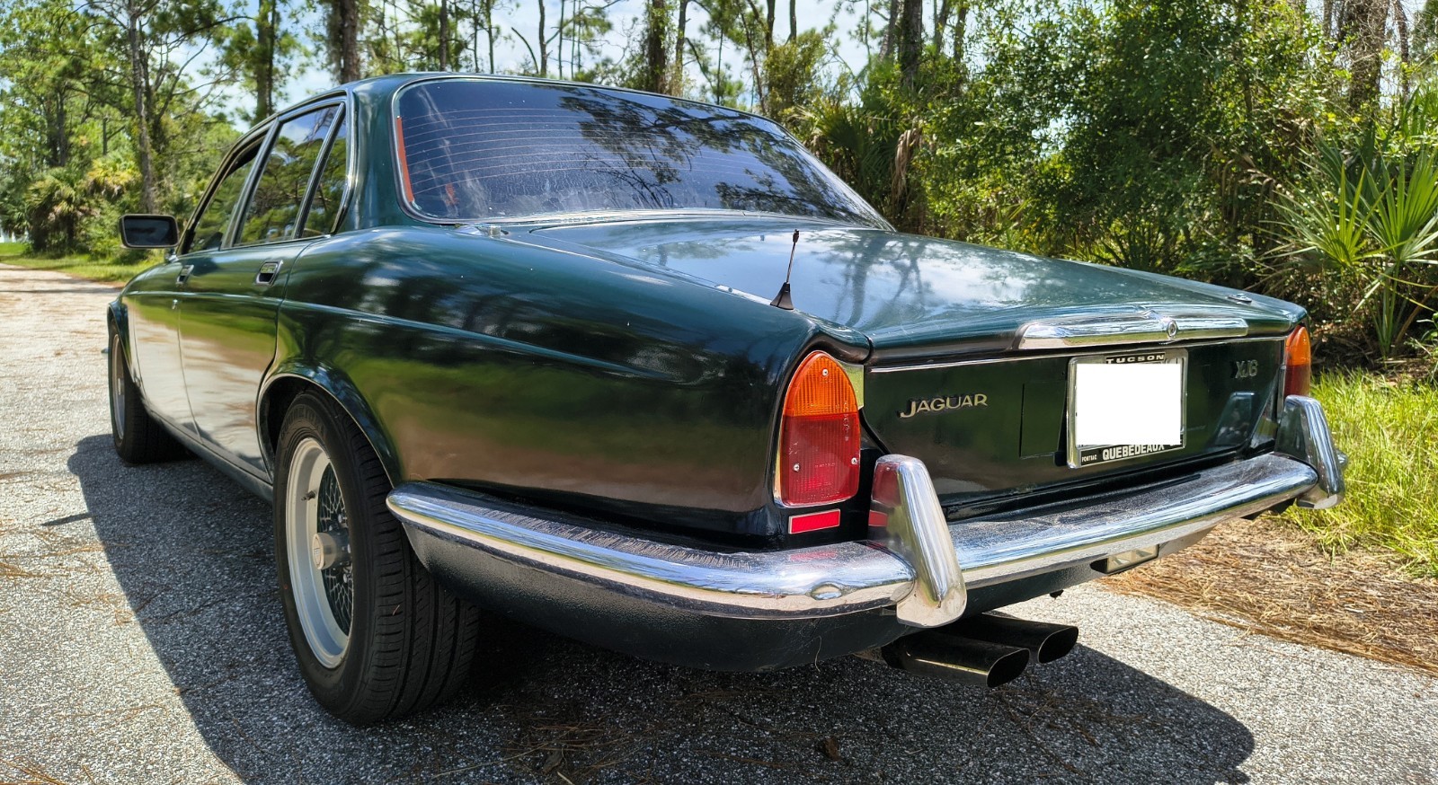 Jaguar-XJ-1983-Sedan-6