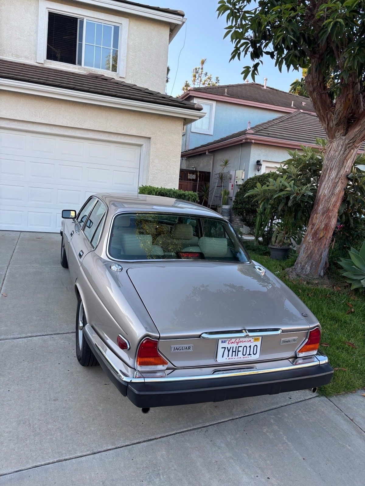 Jaguar-XJ6-1987-Sedan-5