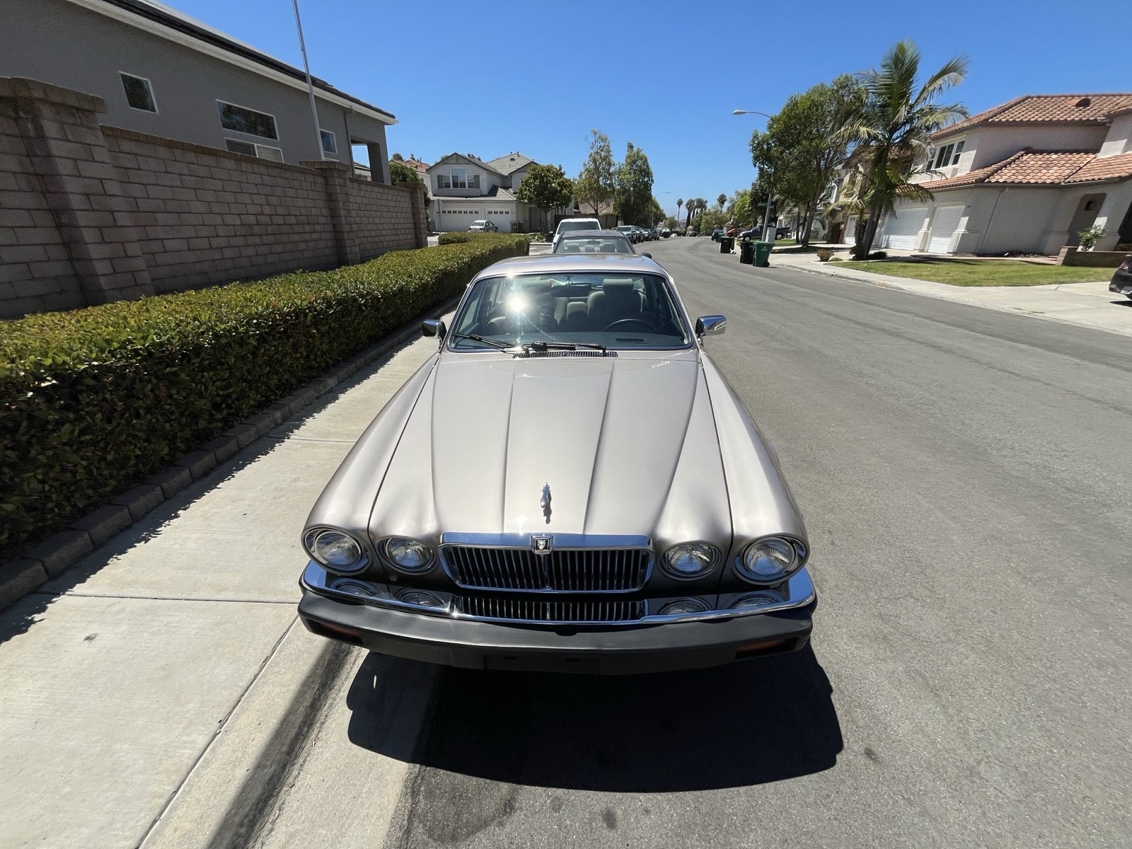 Jaguar-XJ6-1987-Sedan-7