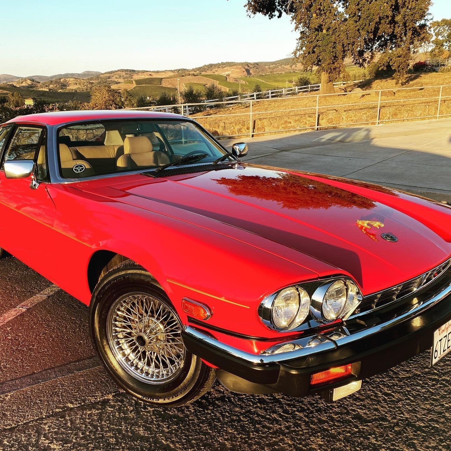 Jaguar-XJS-1986-Coupe-21