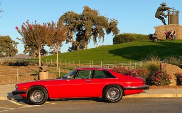 Jaguar-XJS-1986-Coupe-22