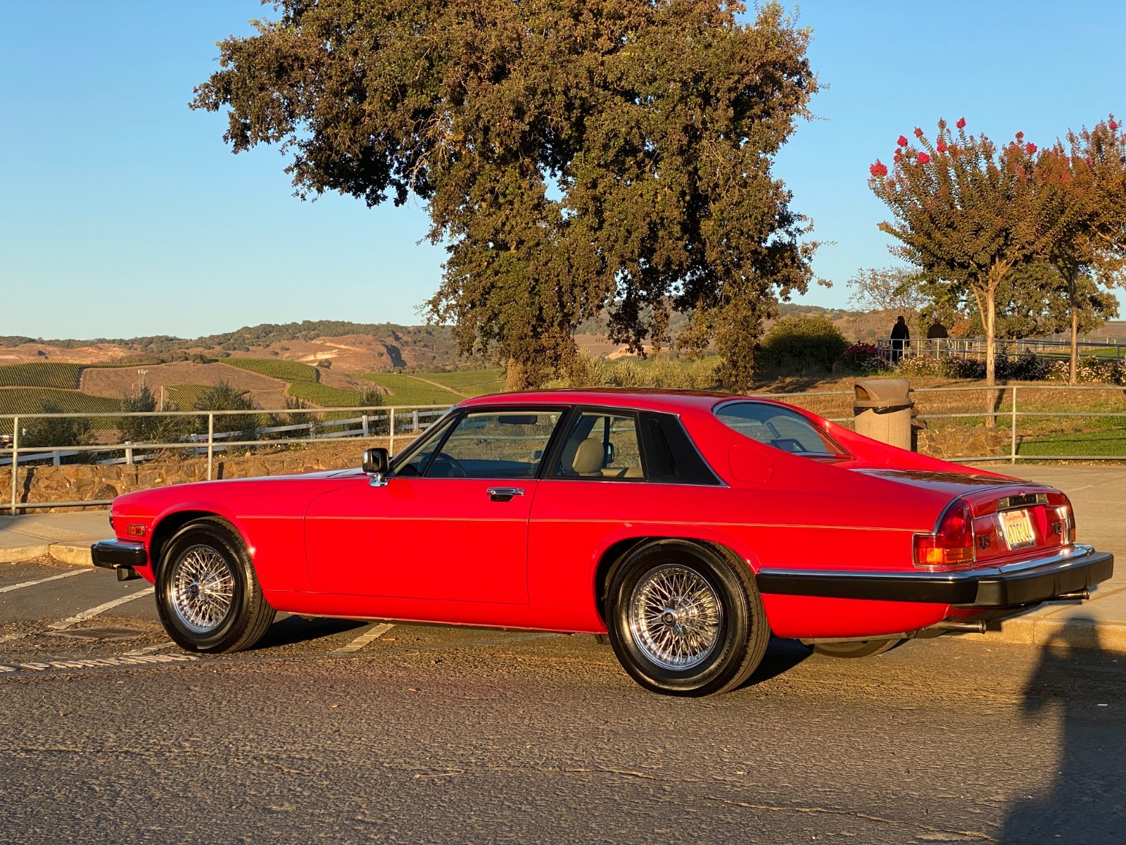 Jaguar-XJS-1986-Coupe-23
