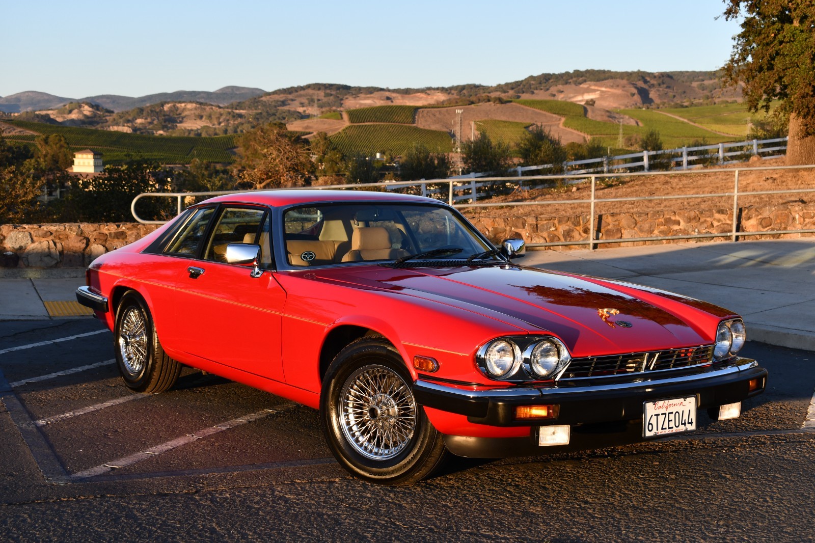 Jaguar-XJS-1986-Coupe-24