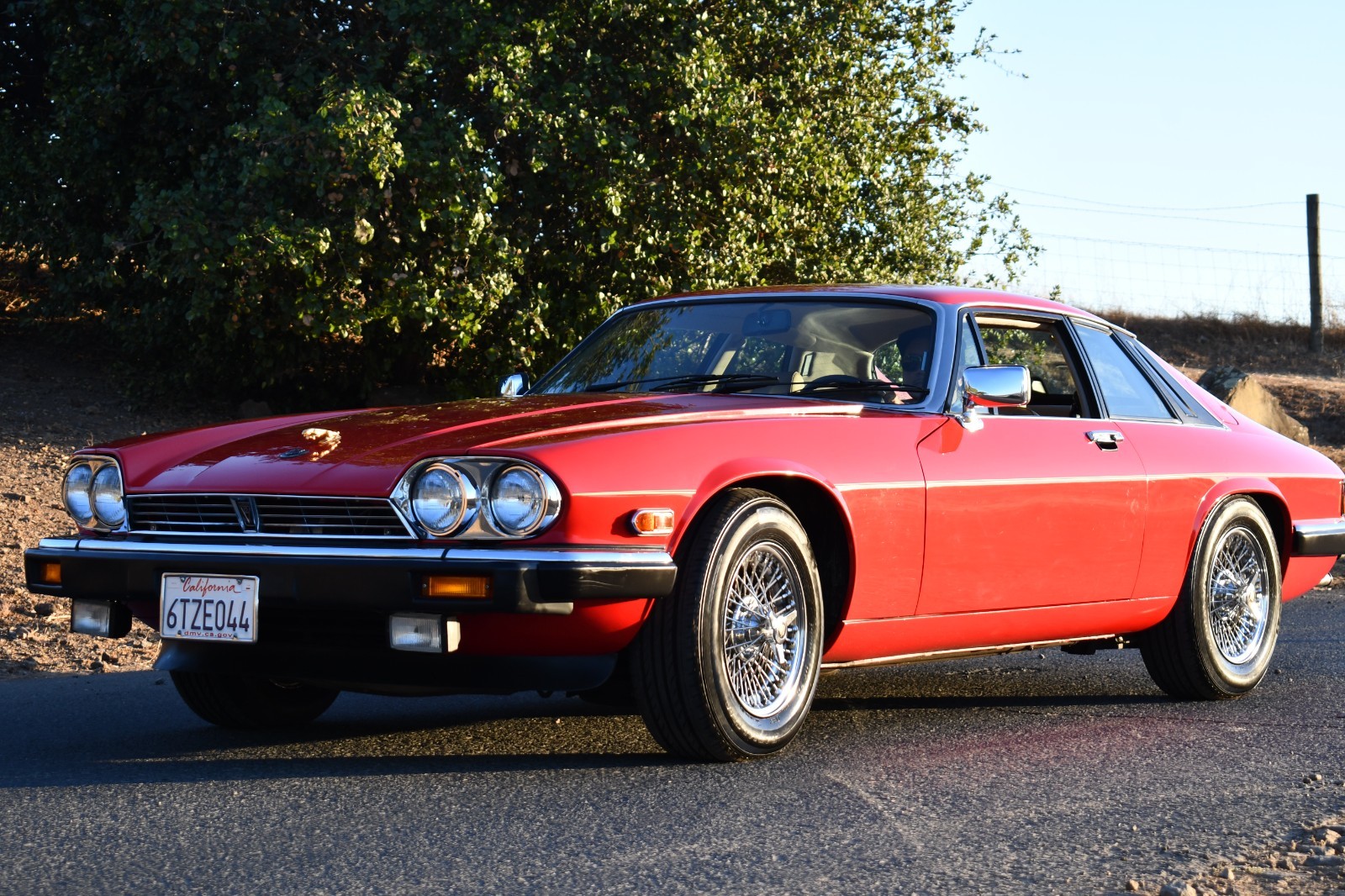 Jaguar-XJS-1986-Coupe-6