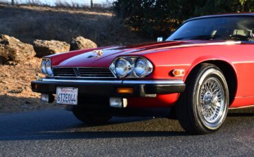 Jaguar-XJS-1986-Coupe-7