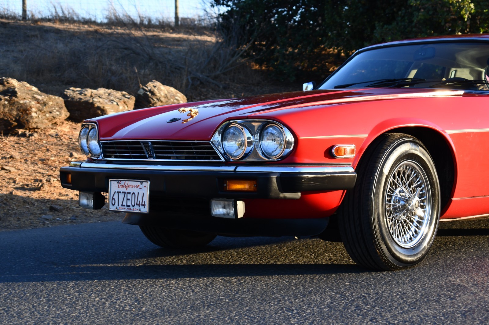 Jaguar-XJS-1986-Coupe-7