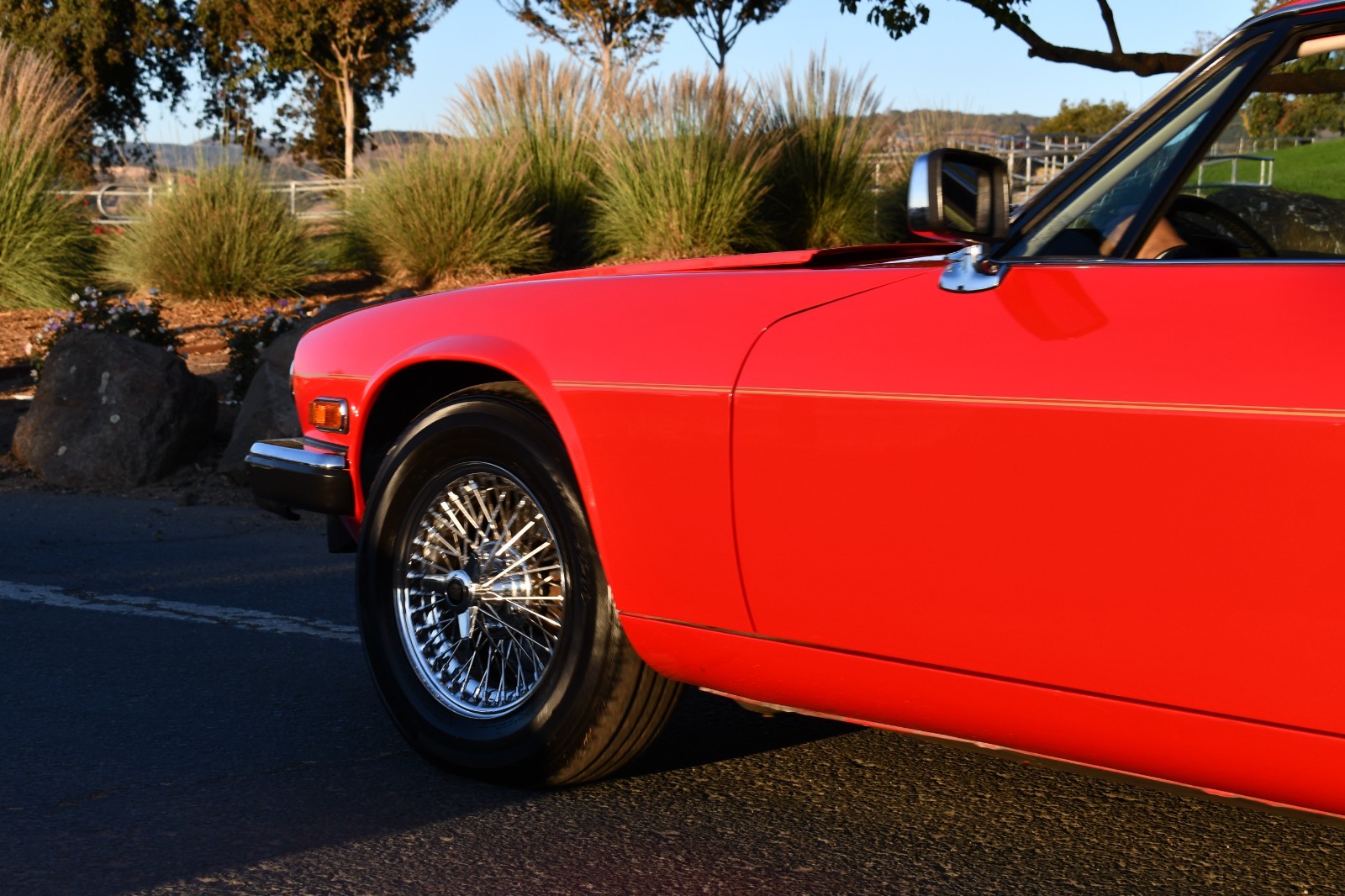 Jaguar-XJS-1986-Coupe-8