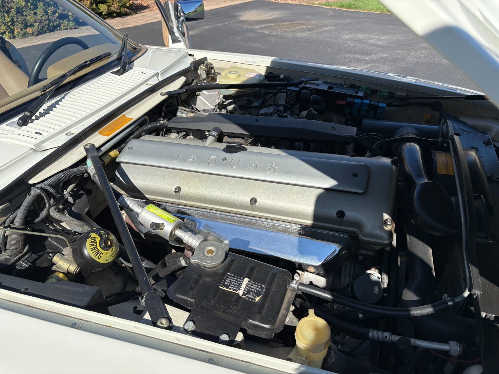 Jaguar-XJS-1995-Convertible-16