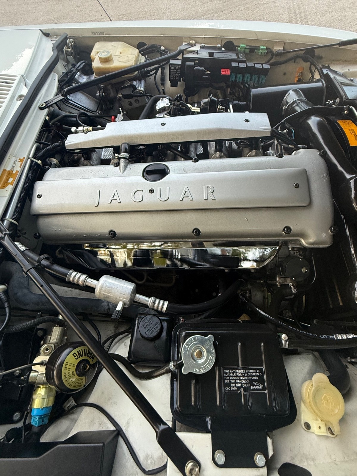 Jaguar-XJS-1995-Convertible-29