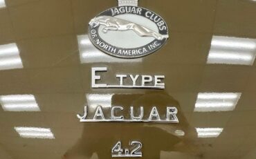 Jaguar-Xke-1970-Ascot-Fawn-Biscuit-25