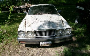 Jaguar-xj6-1983-white
