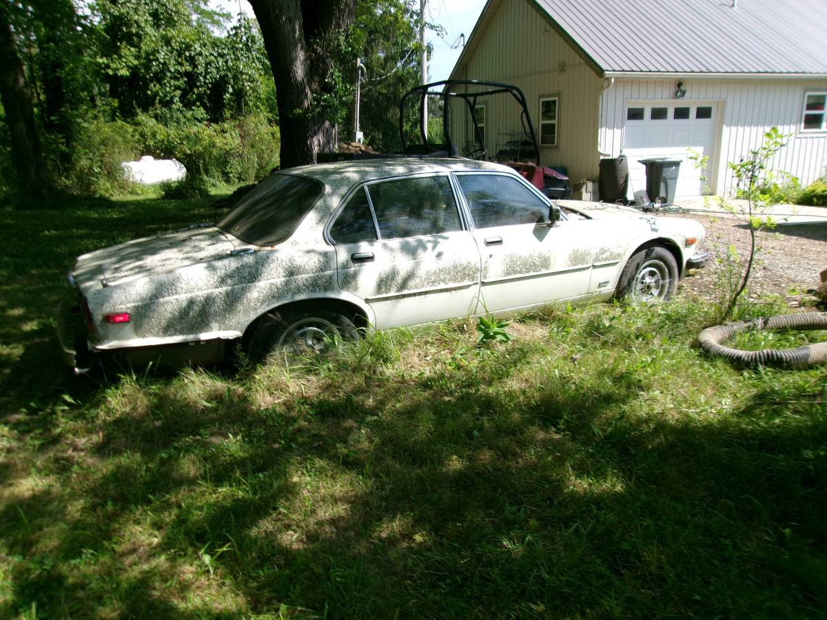 Jaguar-xj6-1983-white-4