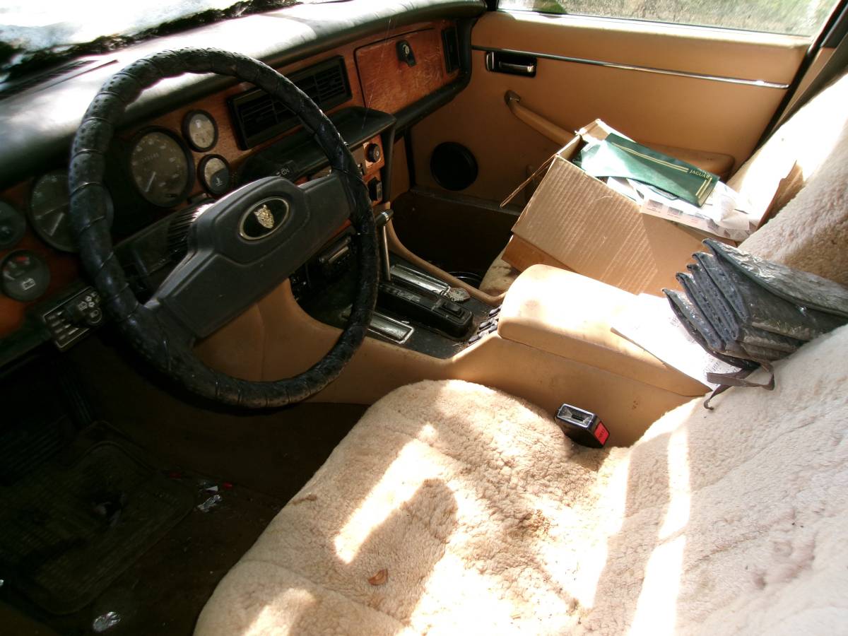 Jaguar-xj6-1983-white-7