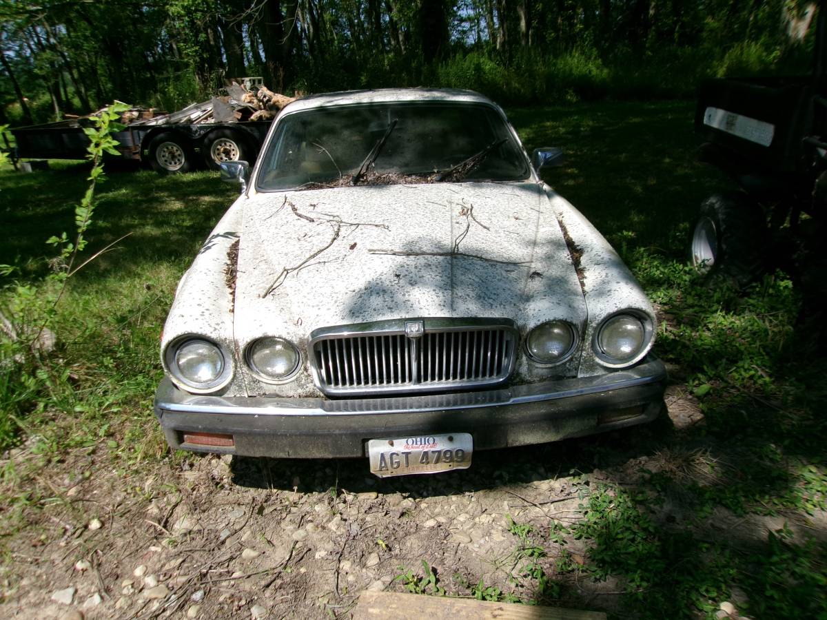 Jaguar-xj6-1983-white