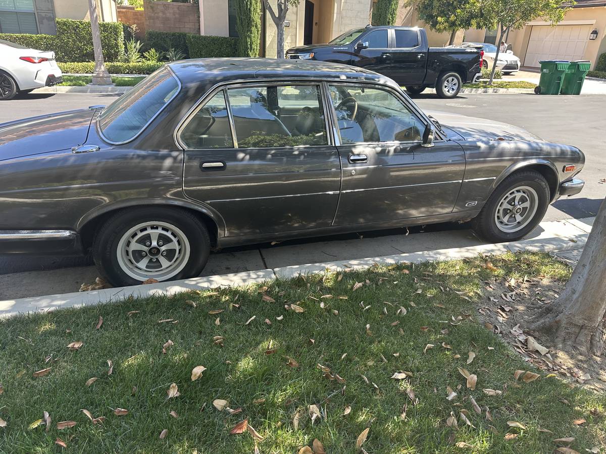 Jaguar-xj6-1984-3