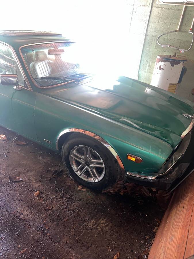 Jaguar-xj6-1984-green